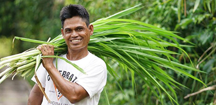 Moorlandprojekt Indonesien