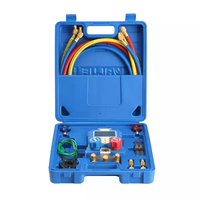 Wert digitalemanifold set