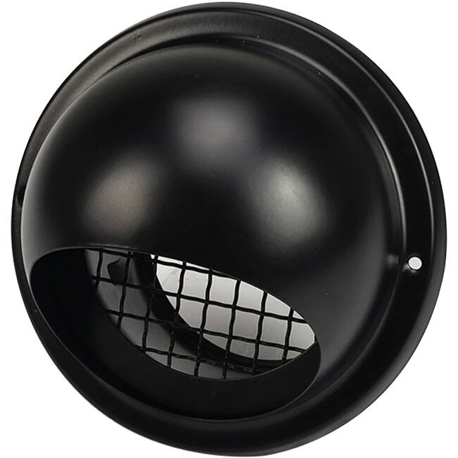 Edelstahl-Pendelrollenrost 125 mm Wanddurchlass - EL-SS-B125 SS RAL9005