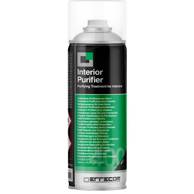 Interior Purifier - Luftreinigung Behandlung - Mint - 400ML