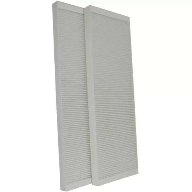 Buva EcoStream Filterset Grob 65% Hausmarke - 2 Stück