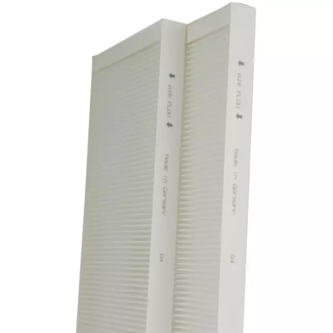 Buva EcoStream Filterset Grob 65% Hausmarke - 2 Stück