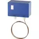 Frostschutzthermostat für Ruck Geräte Kapillarlänge 1,8 m - THE 01